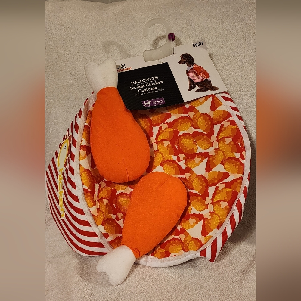 Pet Costume bucket of chicken